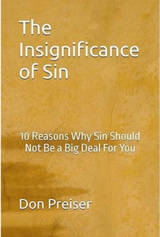 The Insignificance of Sin book cover