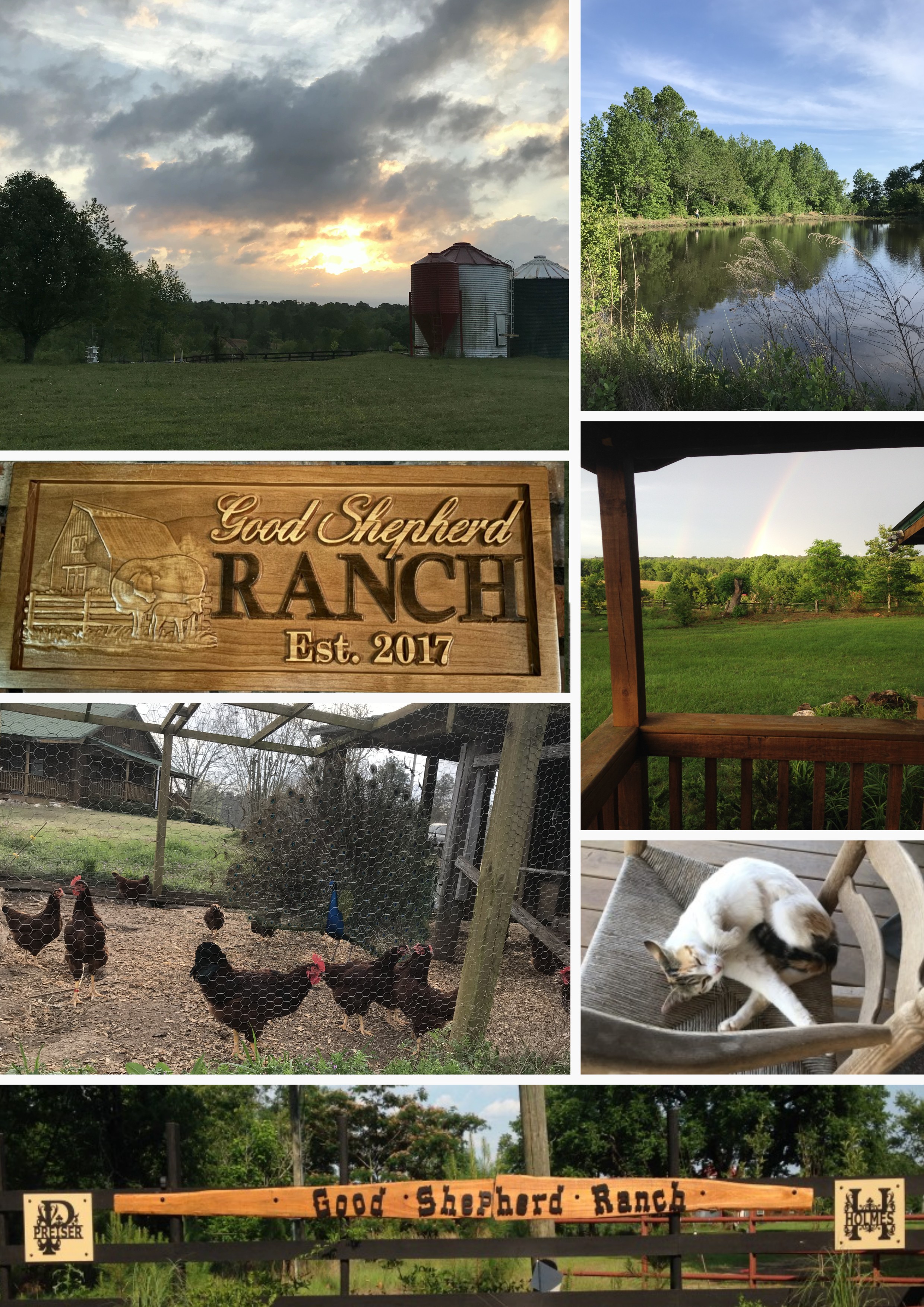 Good Shepherd Ranch landscape