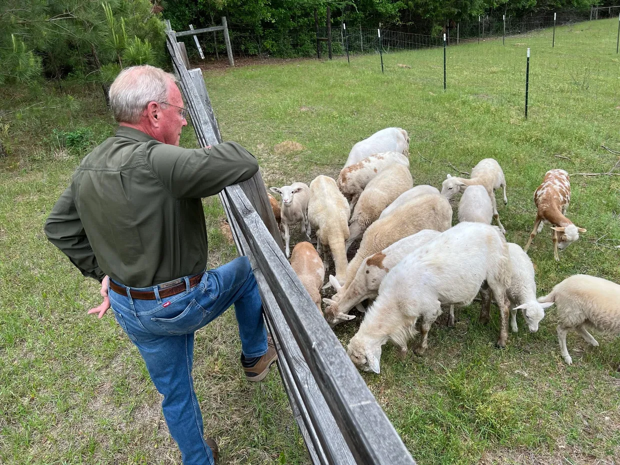 Don Preiser at Good Shepherd Ranch with sheep and goats